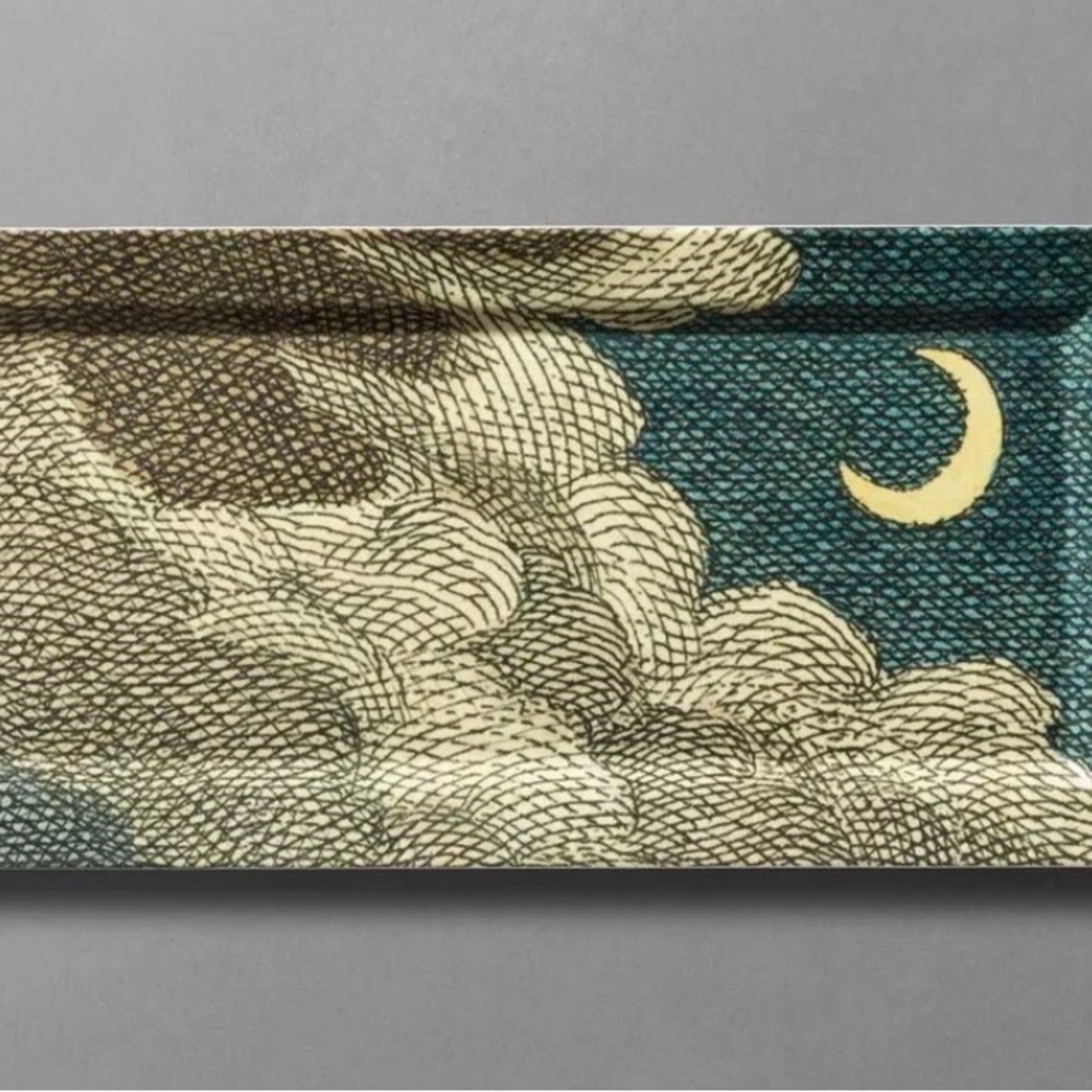 John Derian for Target Midnight Moon Rectangular Snack Tray